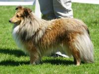 OLIVIE Šerlův dvůr