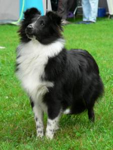 ONE LOVE z Ďáblovy studánky