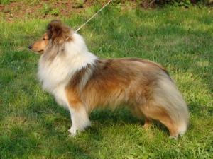 Only Ornela z Benešovské zahrady