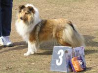 Only Ornela z Benešovské zahrady