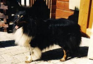 Onyx of Silver Shadow