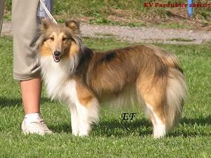 ORETA z Vesničky u hranic