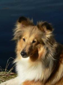 OUR ODYSEA z Benešovské zahrady