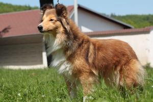 PATTY GABRIELA Smaal Kim