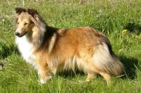 PATTY GABRIELA Smaal Kim