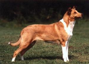 OneWay's Elvira Rosenknopp