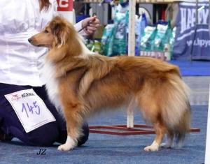 PILLINKA z Vesničky u hranic