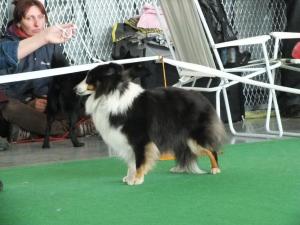 Popelka z Karlova hrádku