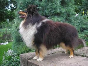 POUL z Vesničky u hranic