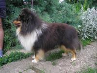 POUL z Vesničky u hranic