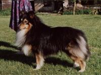 Poulsgaards Eyes Fantasy of Music