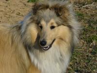 Pretty Petty z Benešovské zahrady