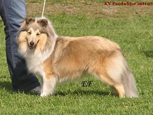 Pretty Petty z Benešovské zahrady