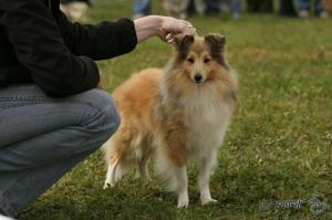 QUEEN MARY z Karlova hrádku