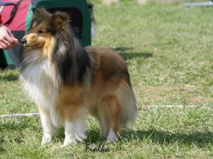 QUÍDO z Karlova hrádku