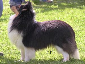 RAMONA z Vesničky u hranic