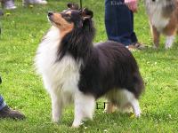 RAMONA z Vesničky u hranic