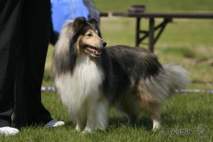 RED REBEL RASTY z Benešovské zahrady