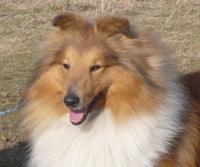 Redcliffe Gold Moravia Classic