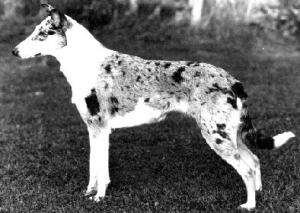 OneWay's Moonlight Shadow