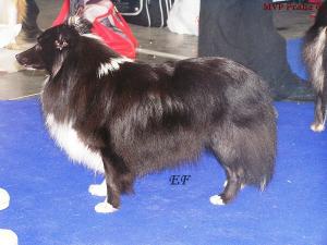 ROCOCO z Ďáblovy studánky