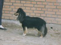 Scandyline Little Venturer