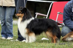 Sirius Starlet z Benešovské zahrady