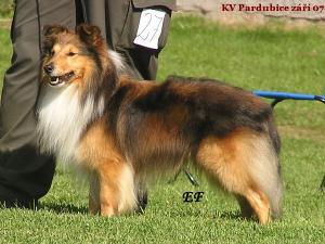 TOMMY LEE z Černé hlásky