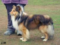 TOMMY LEE z Černé hlásky