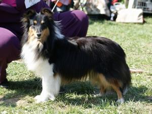 UMMA QUEEN z Benešovské zahrady