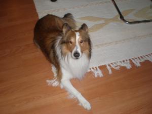 UNIQUE DIAMOND z Arcamony