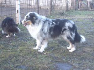 URAGÁN BLUE ze Sedlmajerovy vily