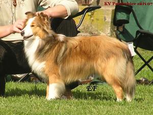 UTILIKE z Ďáblovy studánky