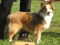 UTILIKE z Ďáblovy studánky