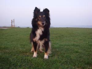 Variace Hedvábný sen