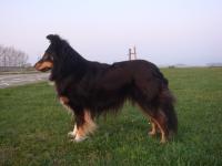 Variace Hedvábný sen