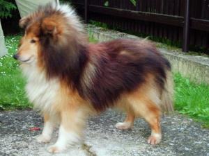 VASCO z Vesničky u hranic