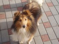 VASCO z Vesničky u hranic