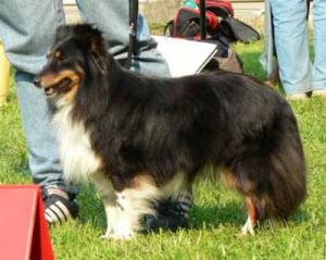 WAKIMA z Černé hlásky