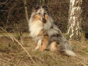 WALDA ze Souhvězdí Orionu