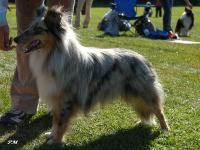 WALDA ze Souhvězdí Orionu