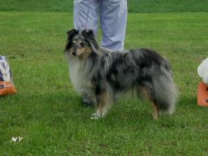 WANESSA ze Souhvězdí Orionu