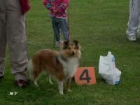 WEBI Moravské srdce