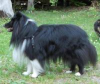 WEBMASTER z Ďáblovy studánky