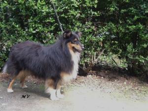 XAENT ze Souhvězdí Orionu