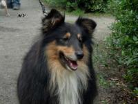 XAENT ze Souhvězdí Orionu