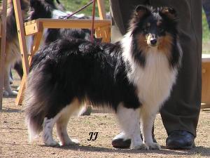 Yasmine z Černé hlásky