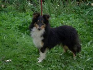 YENEFER ze Souhvězdí Orionu