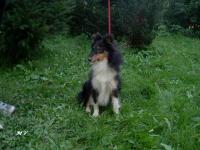 YENEFER ze Souhvězdí Orionu