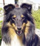 YERSEKE BLACK Vlčí Žleb